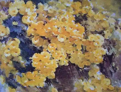 中国水彩画家——梁文亮