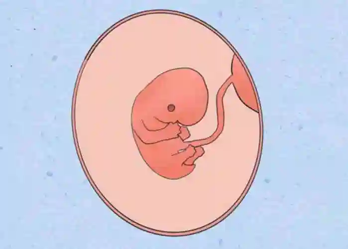 原来前三个月才是胎儿畸形高发期六个好习惯远离畸形魔爪