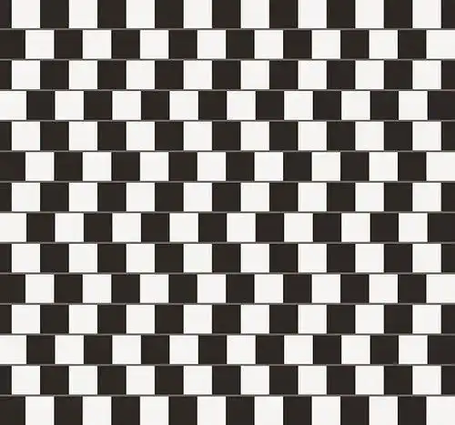 黑白视错觉简笔画