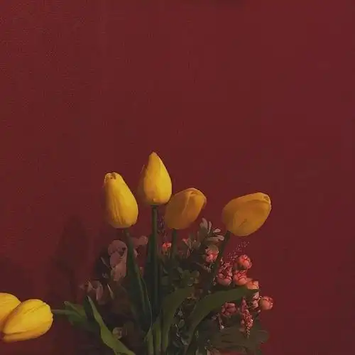 朋友圈背景图更新啦