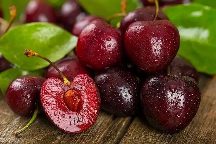 1斤进口车厘子卖百元,2分钟带你了解智利种植背后的黑科技,啥样