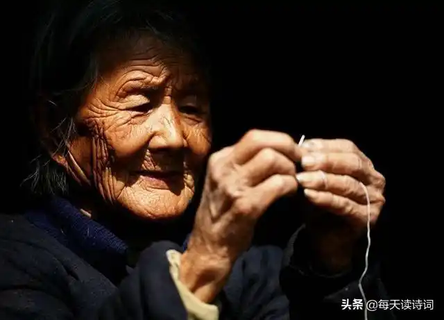 有关母爱的诗句有哪些(赞美母亲伟大的诗句)