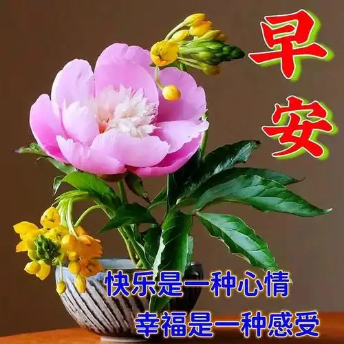 早上好,暖心祝福图片,早安祝福语大全|快乐|清晨|思念_网易订阅