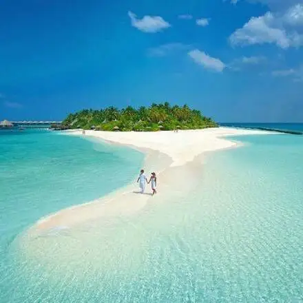 2016恋上海边的浪漫