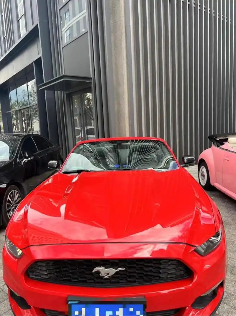 99万元2017年06月 首次上牌 跑车 车辆车型 - 排放标准 汽油 燃油类型