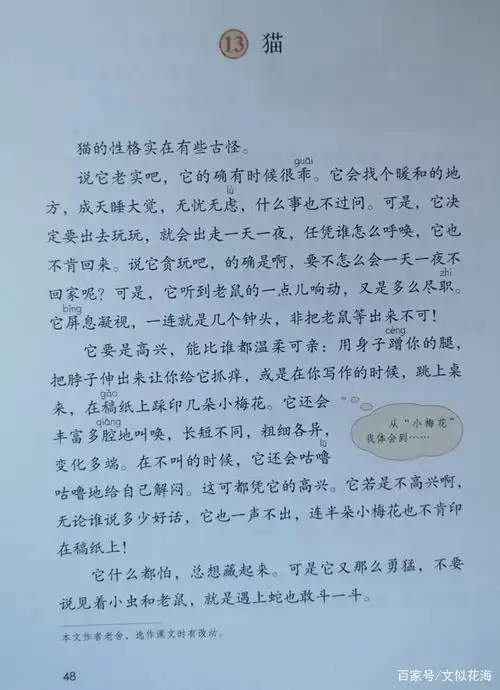 四年级下语文第13课《猫》一课一练