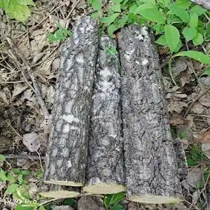 改善纠正脖子疼安眠枕腰垫劲椎枕木枕头睡觉硬木专用黄柏木颈椎枕