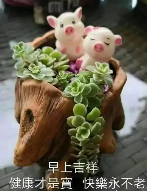 早晨好动态图片问候祝福2021 早上好问候语 最新版微信早上好表情动态