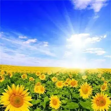 图片清新唯美头像大全 唯美头像图片大全 -【爱个性】