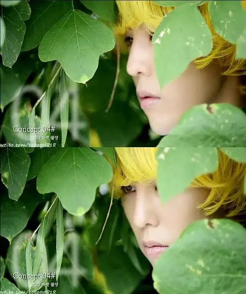 bigbang 权志龙 绿色系的 头戴花环的那系列的图