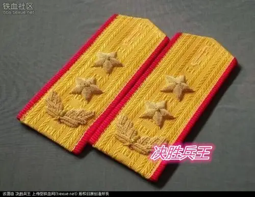 [原创]我收藏的87式三军将官金绡绣肩章