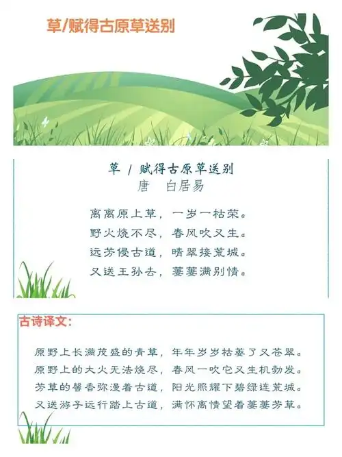 小朋友们,古诗《草》你们学会了吗?你们眼中的小草是什么样子呢?