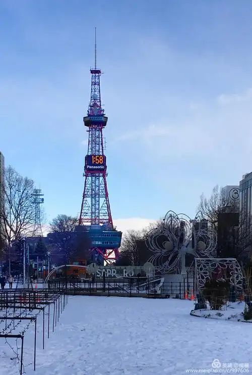 在札幌看雪的日子