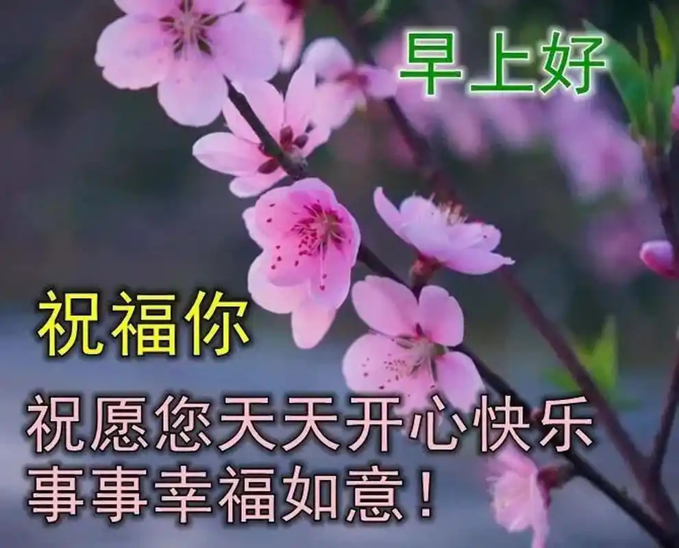 特漂亮的早上好图片清新带字 新的一天早上好阳光问候语祝福语录 1,没