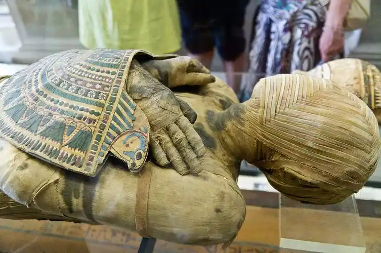 卢浮宫的木乃伊及棺木