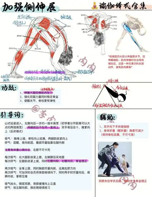 加强侧伸展拉伸大腿后侧肌肉