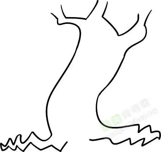 粗壮的树干植物简笔画步骤图片大全大树树干简笔画