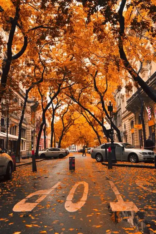 摄影.街景 - 堆糖,美图壁纸兴趣社区