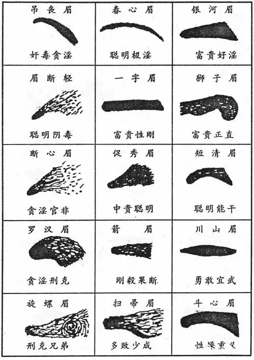 面相论眉毛凶相