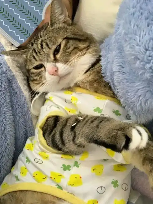 冬天就是要挨着麻麻睡呀好暖和