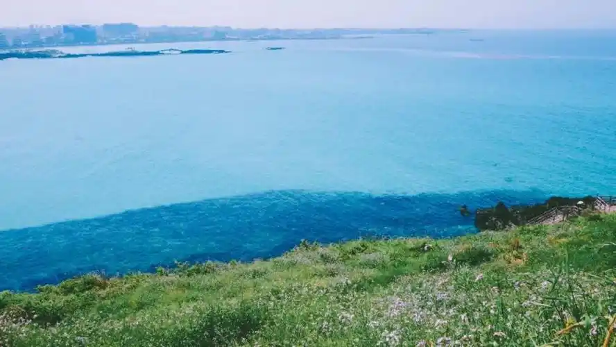 只去一站地方就可以刷爆朋友圈14天张张ins风