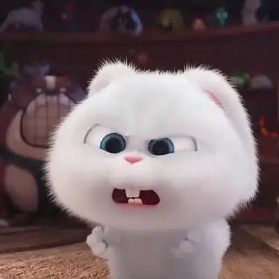 爱宠大机密小白兔头像