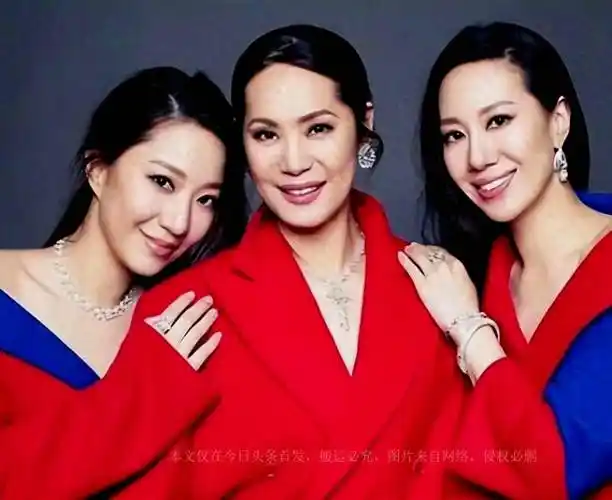 汪圆圆_汪家_成功