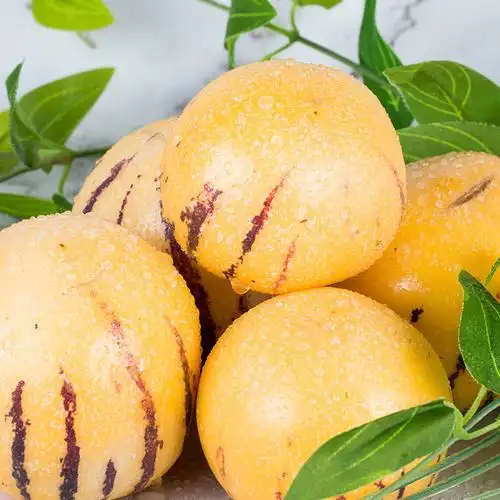 云南石林七彩人参果新鲜人生果当季黄肉中圆果整箱水果10斤包邮