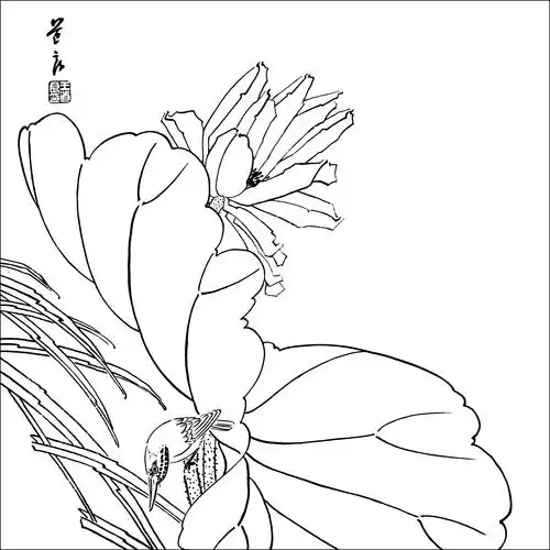 想学好工笔画先从白描开始