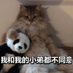 我和我的小弟都不同意_小弟_同意表情