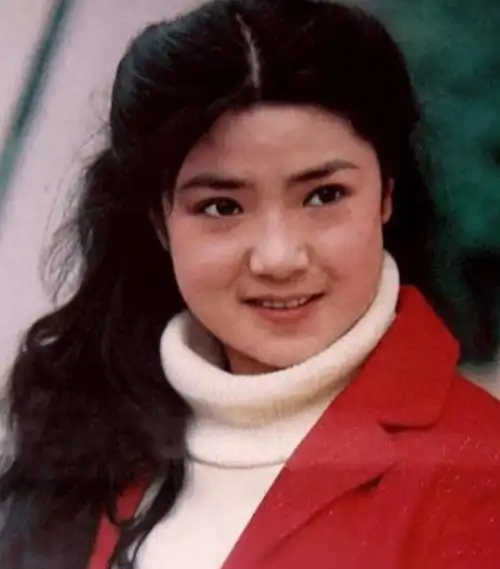 任冶湘:20岁一炮而红,巅峰时突然"消失",如今62岁怎么样了?