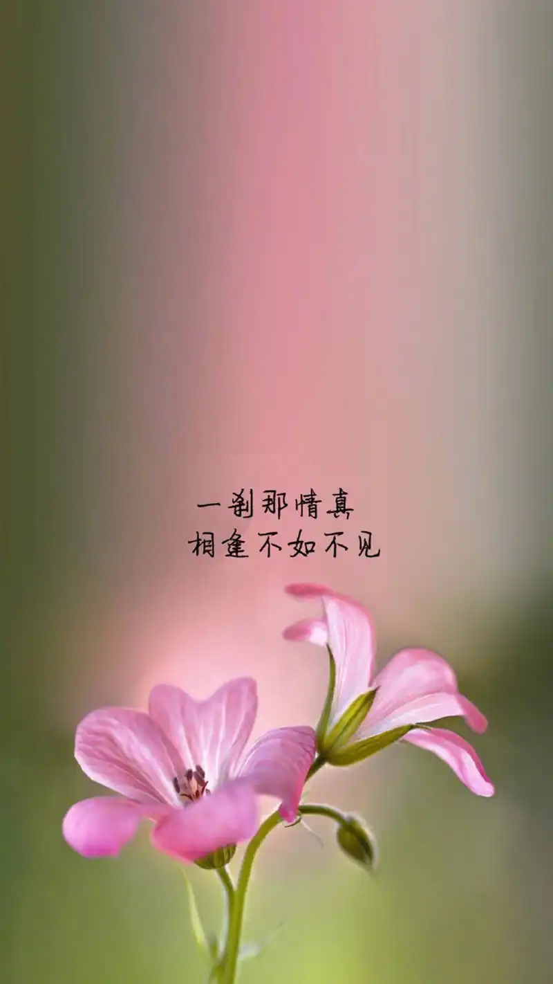 清新唯美意境文字手机壁纸