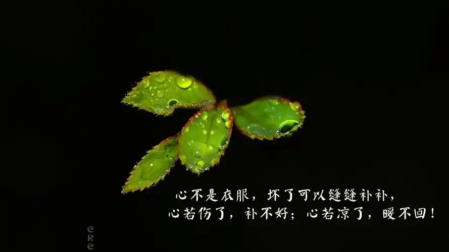 非主流,文字图片,伤感,心情,语录,说说,非主流,文字,伤感,电脑壁纸