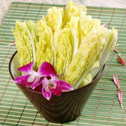 娃娃菜新鲜火锅专用现砍现发农家自种时令蔬菜一包三颗火锅专用1斤