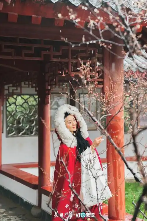 雪中颜值天花板找到了,过年也能见ta|东湖梅园|赏梅|梅花_网易订阅