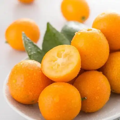 会员145斤广西融安滑皮金桔特级