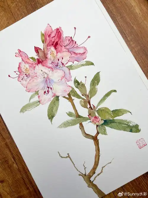 水彩##水彩花卉