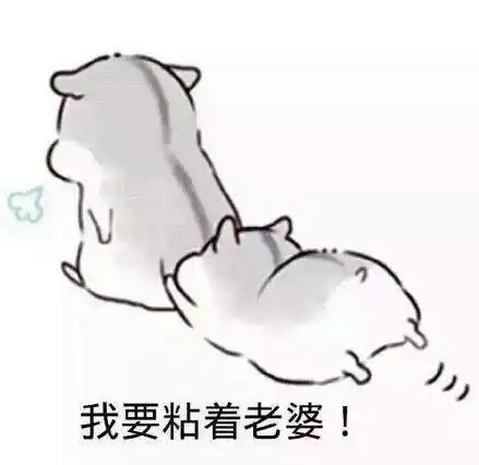 媳妇不在乎你的表现老婆不在乎你的十大表现2022已更新今日动态