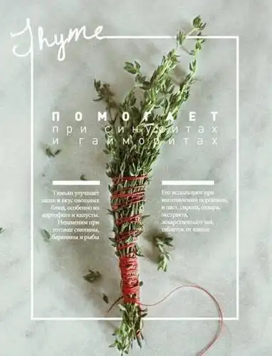 400_523竖版 竖屏