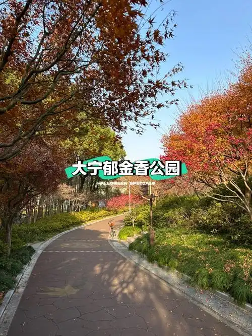 冬天的大宁公园,枫叶93不错,人也不多