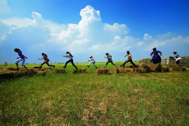 美丽的草原吟唱成脆弱的歌