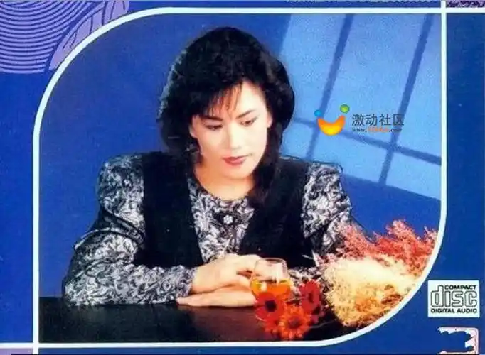 林玉英十二首经典歌曲串烧