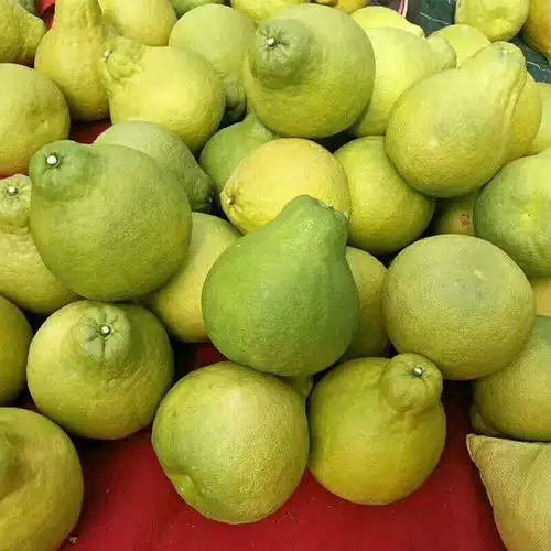 正宗韶关长坝沙田柚甜新鲜水果柚子水果大果现摘现发特产2个装2斤