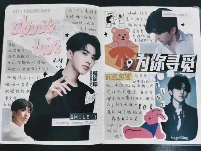 追星手帐蔡徐坤