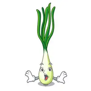 葱卡通图片