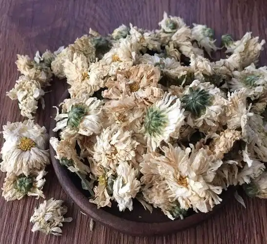 母菊花的功效与作用清肝明目清热解毒毒中药名毒