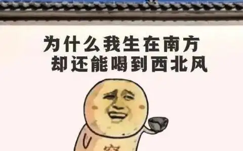 为什么我生在南方却还能喝到西北风穷表情包