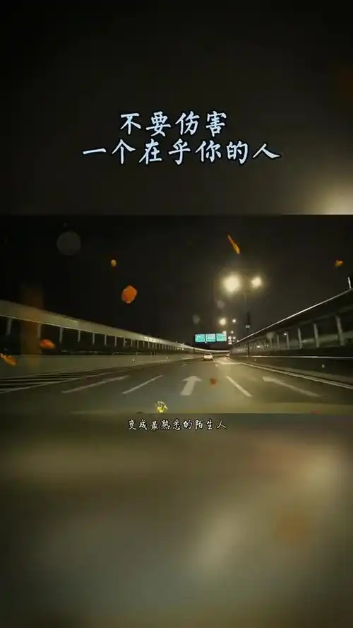 不要骗一个对你好的人,不要伤害一个在乎你的人,总有一天你会明白