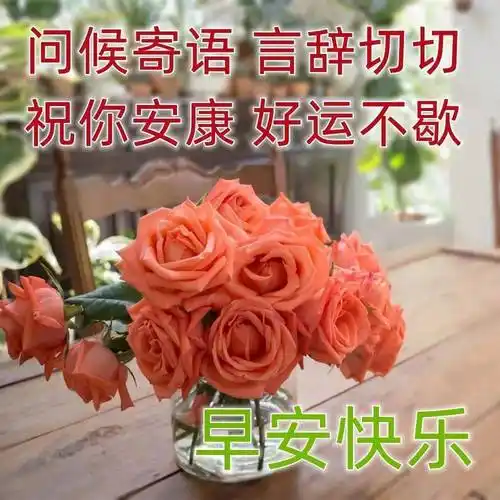 最新早安问候祝福动态表情图片 特别暖心的早上好问候