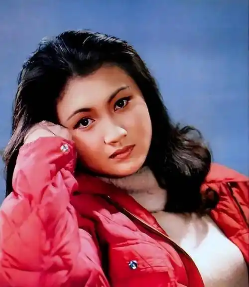 却在巅峰时期隐退这是观众对80年代当红演员林芳兵最高的评价